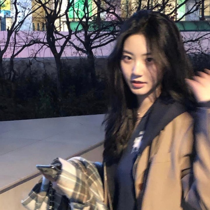 奥迈耶的痴梦